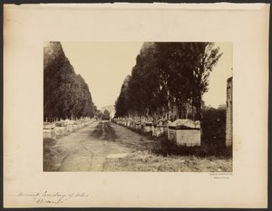 [Antiguo cementerio de Arles, "Alyscamps"] de Dominique Roman