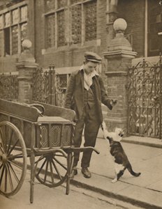 Uno de los oficios más establecidos: Un cliente y el vendedor de carne para gatos, c1935
