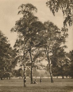 El encaje de las hojas: Una mañana de verano en Hyde Park, c1935 de Donald McLeish