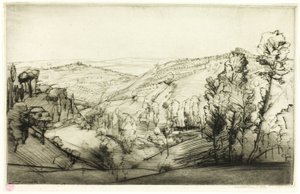 Campos de San Gimignano