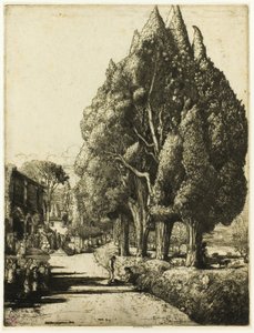 El bosque de cipreses de Donald Shaw MacLaughlan