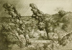 La Tempestad de Donald Shaw MacLaughlan