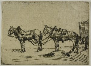 Dos caballos de Donald Shaw MacLaughlan