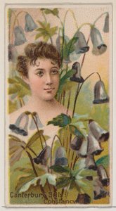 Campanillas de Canterbury: Constancia, de la serie Bellezas Florales y Lenguaje de las Flores N75, 1892 de Donaldson Brothers