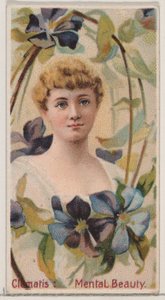 Clematis: Belleza mental, de la serie Bellezas florales y lenguaje de las flores N75, 1892 de Donaldson Brothers