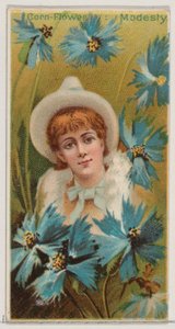 Aciano: Modestia, de la serie Bellezas Florales y Lenguaje de las Flores N75 para Duk..., 1892 de Donaldson Brothers