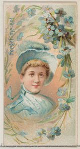 No me olvides, de la serie Bellezas florales y lenguaje de las flores N75 para la marca Duke, 1892 de Donaldson Brothers