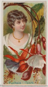 Fucsia: Gusto, de la serie Bellezas Florales y Lenguaje de las Flores N75 para Duke bra..., 1892 de Donaldson Brothers