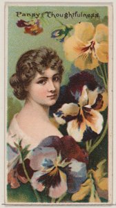 Pensamiento: Reflexión, de la serie Bellezas Florales y Lenguaje de las Flores N75 para D..., 1892 de Donaldson Brothers