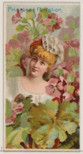 Primavera: Coqueteo, de la serie Bellezas Florales y Lenguaje de las Flores N75 para Du... de Donaldson Brothers