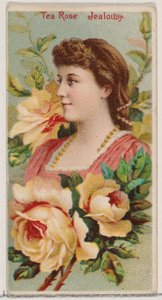 Rosa de té: Celos, de la serie Bellezas Florales y Lenguaje de las Flores N75 para Duke..., 1892 de Donaldson Brothers