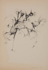 Pájaros de Donatella Merlo