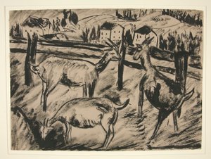 Cabras y Paisaje