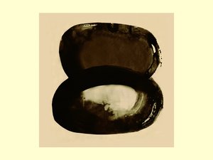 Formas orgánicas abstractas de Doris Schmitz