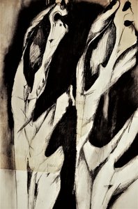 Formas orgánicas abstractas de Doris Schmitz
