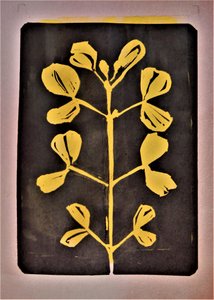 Forma botánica dorada de Doris Schmitz