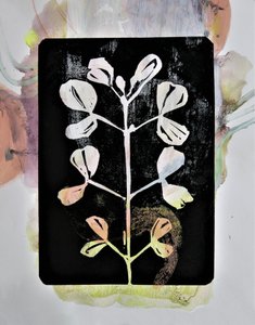 Estudio botánico al pastel de Doris Schmitz