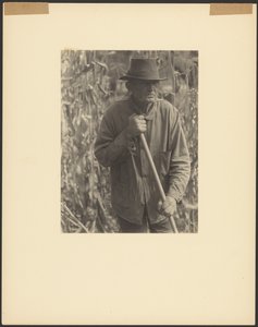 [Hombre con azada en un campo de sorgo] de Doris Ulmann