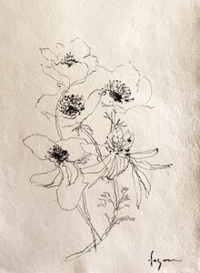  de Dorothy Fagan