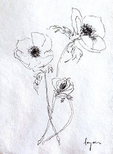 Boceto de una flor delicada de Dorothy Fagan