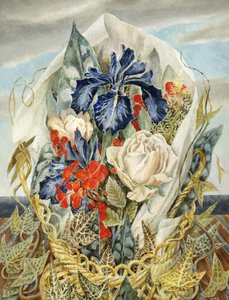 Iris y Rosa de Dorothy M. Larcher