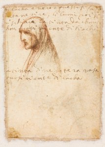 Perfil de busto de una anciana (reverso) de Dosso Dossi
