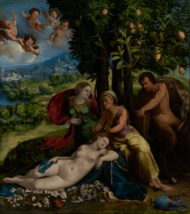 Escena mitológica, c.1524 de Dosso Dossi