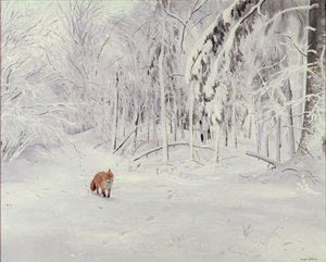 Zorro en la nieve