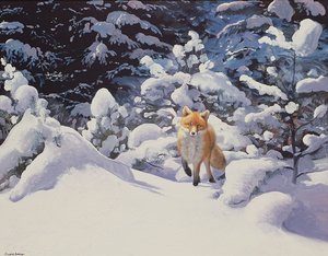 Zorro en la nieve con abetos
