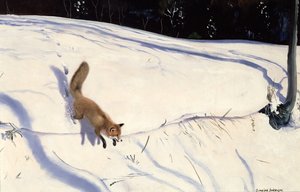 Zorro saltando de un banco nevado