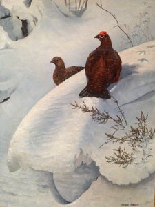 Urogallo en la nieve, c.1985 (óleo sobre lienzo)