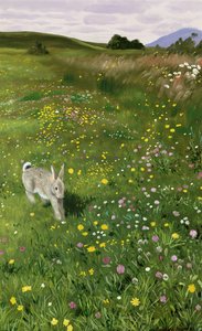 Liebre en flores de primavera