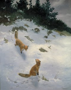 Amor a primera vista, Zorros en la nieve