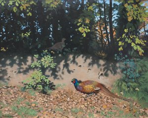 Faisán espolvoreando al sol de otoño, 2000 (óleo sobre tabla)