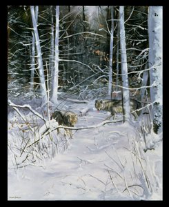 Lobos en un bosque nevado