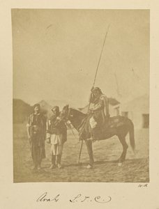 Árabes. L.T.C.