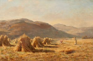 Cosechando cerca de Dumyat, Ochil Hills (óleo sobre lienzo) de Duncan Cameron
