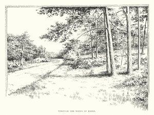 A través de los bosques de Esher (litografía)
