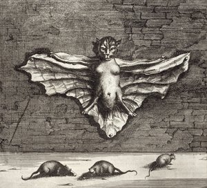 Un murciélago conocido como gato volador, de China Ilustrada por Athanasius Kircher (1601-80) 1667 de Dutch School