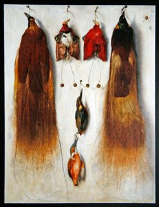 Aves del paraíso