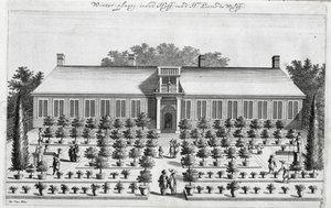 Jardín holandés, de De Nederlandze Hesperides por Jan Commelin, publicado en 1676 de Dutch School