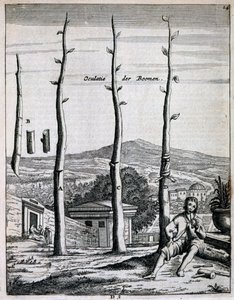 Árboles frutales, de De Nederlandze Hesperides por Jan Commelin, publicado en 1676 de Dutch School