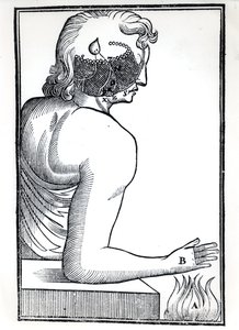 La percepción de los sentidos, de De Homine Figuris por René Descartes (1596-1650) publicado en Ámsterdam, 1677 de Dutch School