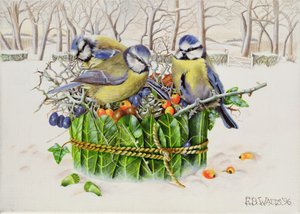 Herrerillos en un nido de hojas, 1996 de E.B. Watts