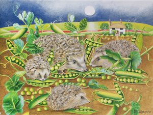 Erizos con guisantes junto a un campo de amapolas por la noche, 1994