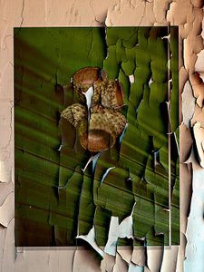  de EDUARDO LLERANDI