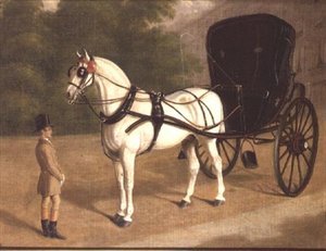 Un caballo gris y cabriolé con mozo