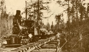Un ferrocarril maderero, Columbia Británica, 1930 de ENA