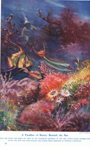 Un paraíso de belleza bajo el mar, ilustración de 