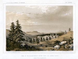 El Bosque Negro Monte Hope y Sierra Prieta, EE.UU., 1856